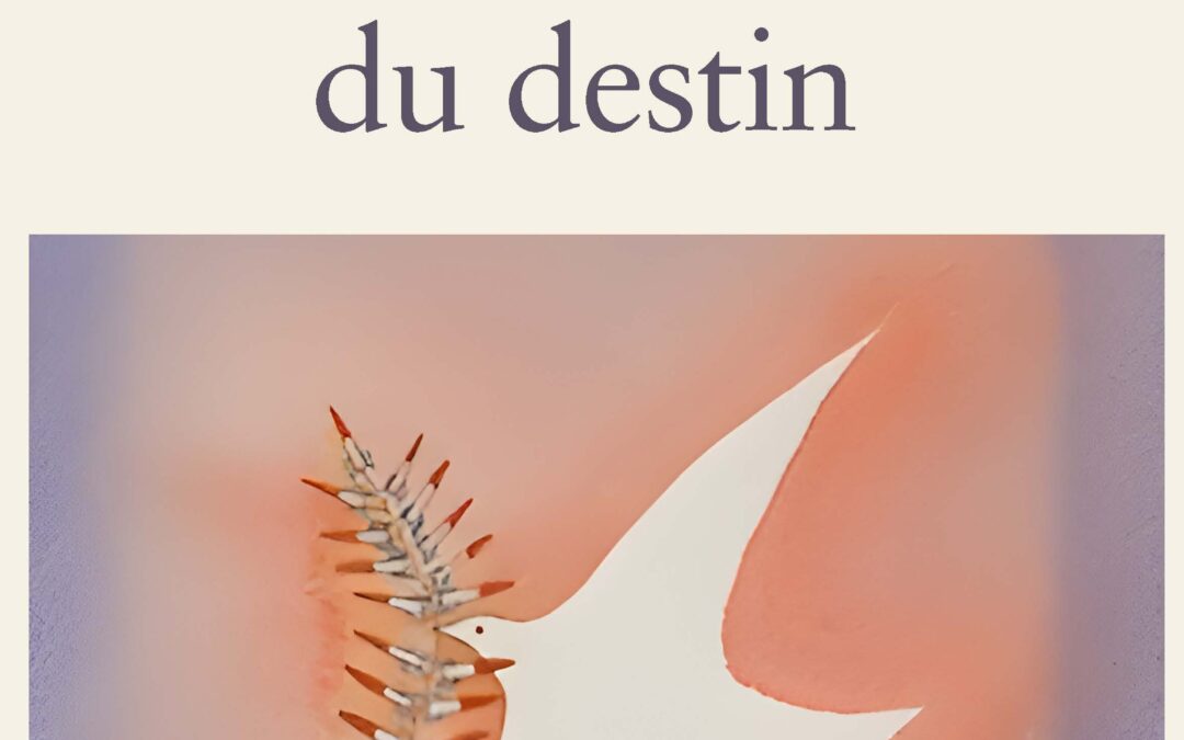 L’angle mort du destin