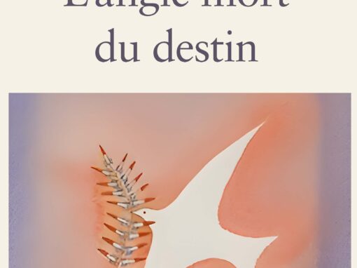 L’angle mort du destin